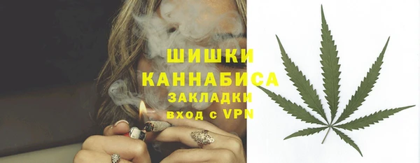 2c-b Белокуриха