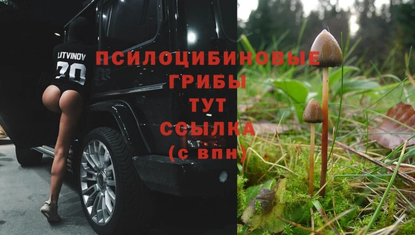 гашишное масло Богородск