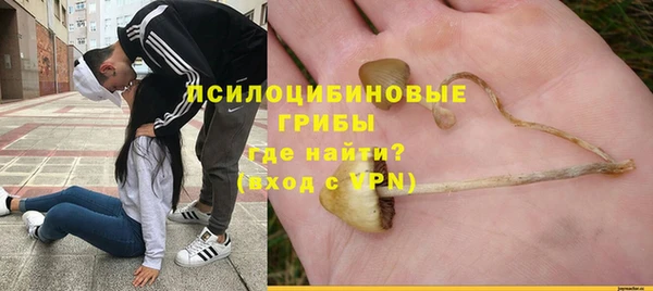 гидропоника Богородицк