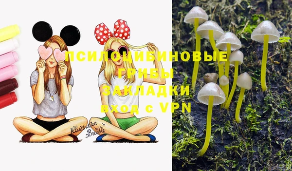 каннабис Богданович